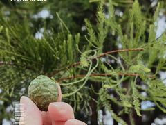 -梁鸿国家湿地公园