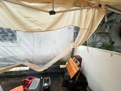 -mamalao老挝烤肉糯米饭