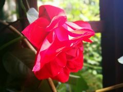 -漫渡庄绿岛花园•隐世庭园菜(滨湖店)