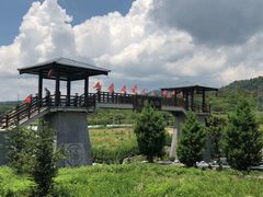 -青峰峡国家森林公园