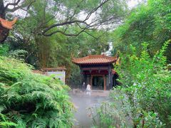 -广州兰圃