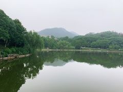 景观位-龙吟九品(青龙山庄店)