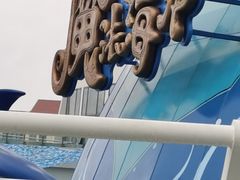 -海合安青岛极地海洋公园
