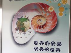 -青岛贝壳博物馆