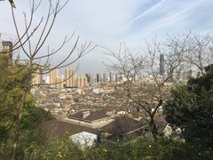 -伯先公园