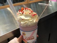 MEIJI-伏小桃(明瓦廊店)