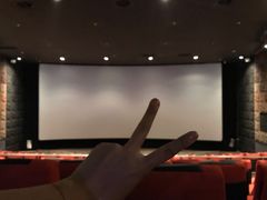 -成都百丽宫影城(LUXE太古里店)