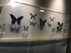 -吉林省自然博物馆