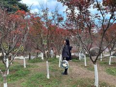 -广州市帽峰山景区