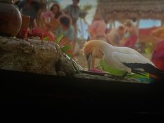 -百丽宫影城(嘉里汇店)