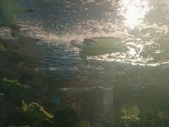 -运城海洋馆