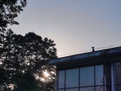 -九曲溪竹筏码头