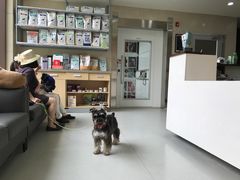 -谐和益家动物医院·免疫绝育·血液透析·宠保定点医院(高新伊藤分院)