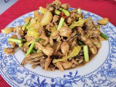 -柘林湖生态鱼馆