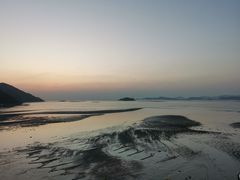 -北岐滩涂