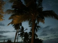 -椰树岛海滩度假村