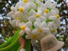 -蜀冈西峰生态公园