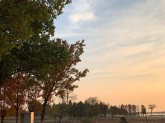 -滆湖低碳生态公园