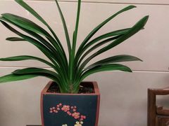 -旺顺阁海鲜广场(亚运村店)