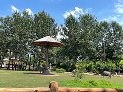 -大连森林动物园