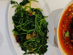 老坛酸菜炝红薯尖-眉州东坡(中日友好医院店)