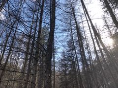 -秦岭风景区