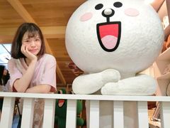 -line friends(明洞旗舰店)