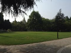 iphone_upload_pic-瀛洲公园