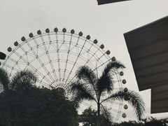 -三亚海昌梦幻海洋不夜城