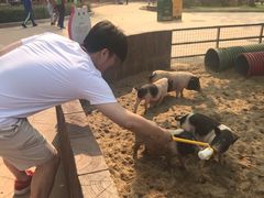 -北戴河集发农业梦想王国