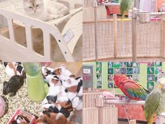-万达广场(济南魏家庄店)