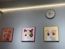 -洗脸猫·洗脸吧
