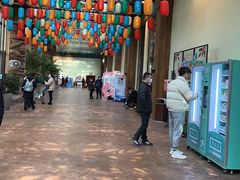 -杭州开元森泊度假乐园