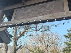 -阳台山自然风景区