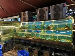 水产区-老宋家鱼馆(北滨路店)