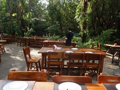 -绿光森林餐厅