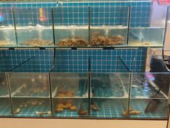 -漳州瑰丽半岛酒店·原素全日制餐厅