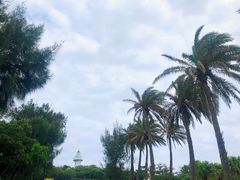 -鹅銮鼻公园