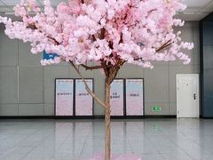-黄浦路(地铁站)