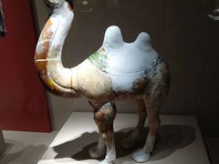 -宁夏博物馆