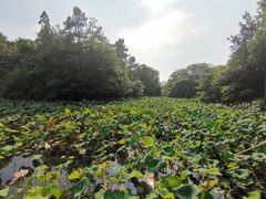 -南昌动物园