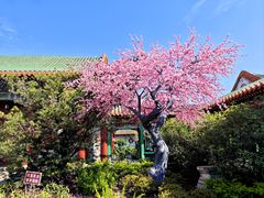 -珠海圆明新园