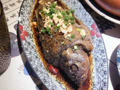 -酒阳蒸经小酒馆(解放碑店)