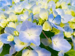 -大理古城旅游汽车客运站