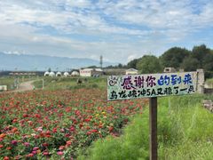 -乌龙峡谷景区