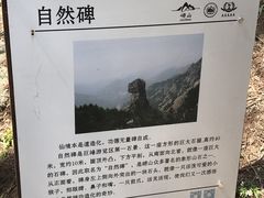 -崂山巨峰游览区