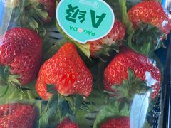 -百果园PAGODA(和泓四季店)