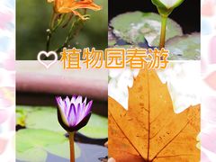-杭州植物园