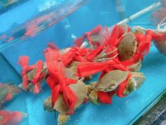 -崖口红树林海鲜餐厅