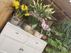 -春暖花开(西溪店)